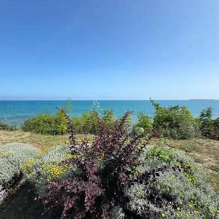 Sineva Del Sol Apart Otel